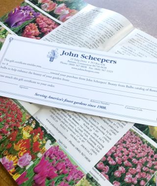 Johnscheepers Gift Certification